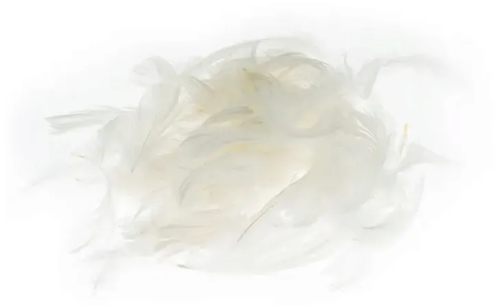 piora-biale-5-12cm-7g-kolor-bialy