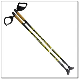 teleskopowe-kijki-do-nordic-walking-z-wymiennymi-koncowkami