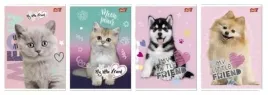 zeszyt-a5-16k-linia-podwojna-dwukolorowa-laminowany-my-little-friend