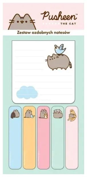 zestaw-notesow-6-szt-pusheen