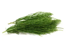 equiherbs-ziola-dla-koni-skrzyp-polny-opakowanie-papierowa-torba-1-kg