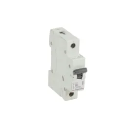 legrand-419133-wylacznik-nadpradowy-rx3-1p-b-6a-6000a
