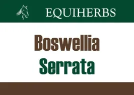 equiherbs-boswellia-serrata-kadzidlowiec-olibanum-2kg