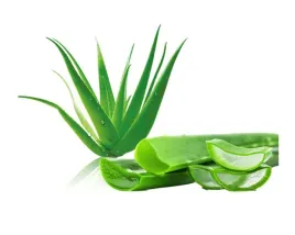 equiherbs-bio-sok-z-aloesu-z-miazszem-dla-koni-1-l