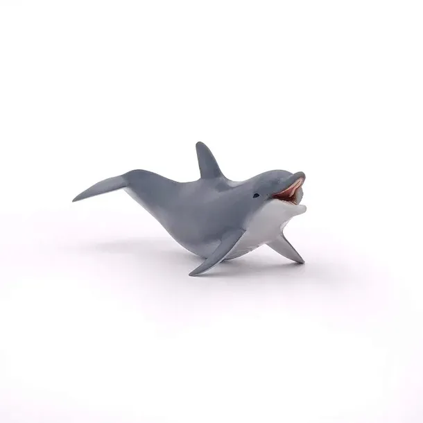 delfin-bawiacy-sie-plec-chlopcy-dziewczynki