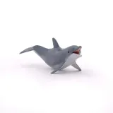 delfin-bawiacy-sie-plec-chlopcy-dziewczynki