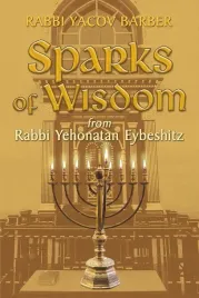 ksiazka-sparks-of-wisdom-from-rabbi-yehonatan-eybeshitz