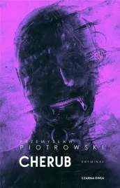 igor-brudny-t-3-cherub-barwione-brzegi