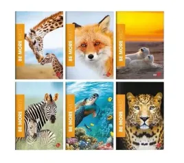koh-i-noor-zeszyt-a4-36k-linia-be-more-wild-10-szt-idealny-do-szkoly