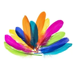 brewis-piorka-gesie-15-20cm-mix-nenowy-12-sztuk