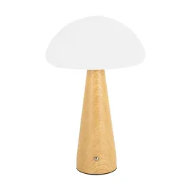 struhm-lampka-stolowa-z-akumulatorem-sosna-trufla-led-15w-75lm-cct-dim-usb