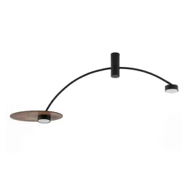nowodvorski-lighting-lampa-sufitowa-heft-2xgx53-czarny-brazowy