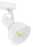 argon-reflektor-scienno-sufitowy-twist-2xe14-bialy-kolor-bialy