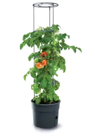 doniczka-tworzywo-sztuczne-szary-prosperplast-295-cm-x-295-x-1152-cm