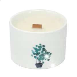 cytryna-i-wiciokrzew-swieca-botaniczna-pelna-swiatla-i-swiezosci-180g-1szt