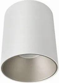 nowodvorski-downlight-natynkowy-eye-tone-gu10-bialy-srebrny