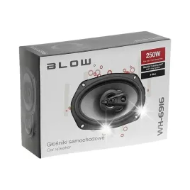 2x-mocne-glosniki-samochodowe-250w-6x9-4ohm-owalne-elipsy-trojdrozne