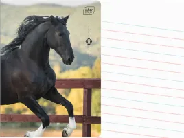 interdruk-zeszyt-a5-linia-dwukolorowa-32-kartki-w-linie-wild-horses-kon