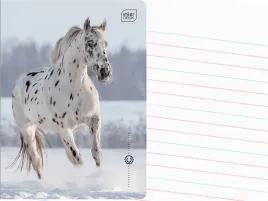 interdruk-zeszyt-a5-linia-dwukolorowa-32-kartki-w-linie-wild-horses-kon