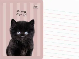 interdruk-zeszyt-a5-linia-dwukolorowa-32-kartki-w-linie-puppy-sign-kot
