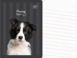 interdruk-zeszyt-a5-linia-dwukolorowa-32-kartki-w-linie-puppy-sign-pies