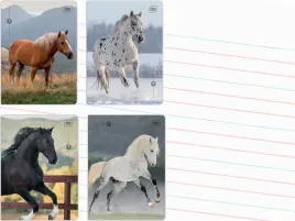 zestaw-4-x-zeszyt-a5-linia-dwukolorowa-32-kartki-w-linie-wild-horses-kon