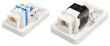 gniazdo-modul-keystone-rj45-beznarzedziowy-kat-5e-stan-nowy-stan-opakowania-oryginalne