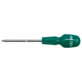 wkretak-torx-z-otworem-vorel-61380-hi-tec-t10-x-100mm-security