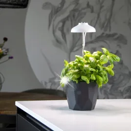 lampa-led-do-wzrostu-uprawy-roslin-regulowana-lampa-esschert-design