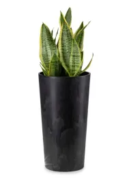 doniczka-466-x-255-cm-tworzywo-sztuczne