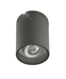 lampa-sufitowa-punktowa-regulowana-zewnetrzna-ciemna-szara-tuba-ip54-su-ma