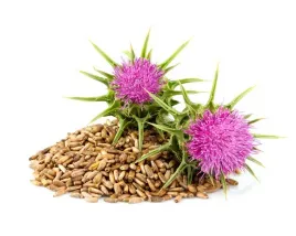 equiherbs-ziola-dla-koni-ostropest-plamisty-worek-strunowy-1-kg