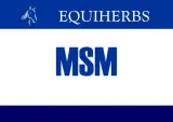 equiherbs-msm-500-g
