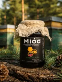 miod-spadz-iglasta-1-kg-spadziowy-prawdziwy-swiezy-pojezierze-drawskie