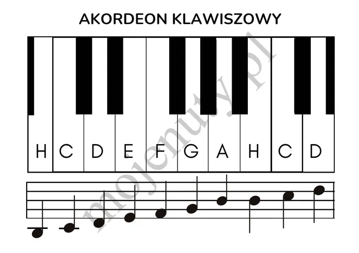 moje-pierwsze-melodie-wydawnictwo-mojenuty-pl