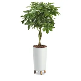 doniczka-prosperplast-okragla-biala-75-l-z-wyjmowanymi-nozkami-365-cm