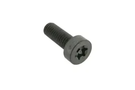 3010345x1-sruba-torx-m6-x-1-0-x-16-mm