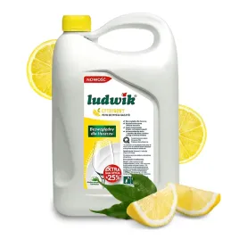 plyn-koncentrat-do-mycia-czyszczenia-naczyn-5l-ludwik-cytrynowy-wydajny