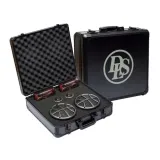 dls-scandinavia-actcase-2