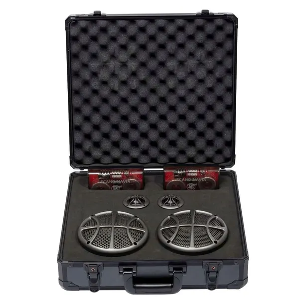 dls-scandinavia-actcase-2-marka-dls