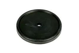 ud090302-membrana