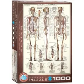 puzzle-1000-the-skeletal-system-6000-3970-eurographics
