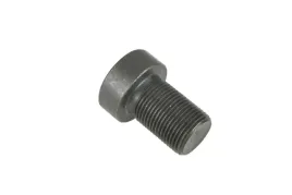 104500-0-sruba-specjalna-imbusowa-m10-x-20