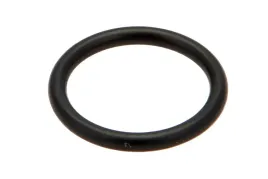 x548842900000-pierscien-oring-15-x-2-mm