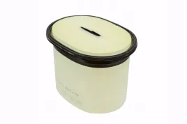 cp24420-filtr-zewnetrzny-powietrza-silnika