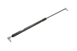 bzf0102-013-silownik-gazowy