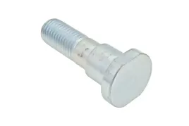 vpi-508-sruba-z-kolnierzem-m24-x-55