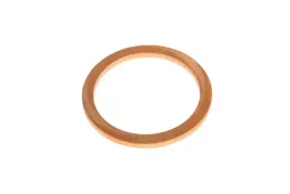 0013011180-pierscien-mechanizmu-roznicowego