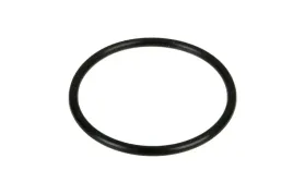70923570-pierscien-oring-3934-x-262