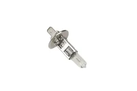 109974-zarowka-12v-55w